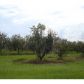 17310 BALLMONT PARK DR, Odessa, FL 33556 ID:1059688