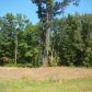 33 Misty Hollow Drive, Dahlonega, GA 30533 ID:3952367