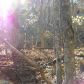 0 Wild Deer Trace, Dahlonega, GA 30533 ID:2433367