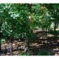 2880 Hosch Valley Road, Buford, GA 30519 ID:4524553