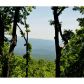 1549 Deer Run Ridge, Jasper, GA 30143 ID:3270333