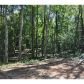 195 Briar Patch Path, Dallas, GA 30157 ID:1539084