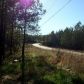 3 Reavis Mountain Road, Ball Ground, GA 30107 ID:5072807