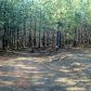 3 Reavis Mountain Road, Ball Ground, GA 30107 ID:5072809