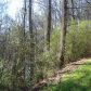 0 Ryo Mountain Loop, Fairmount, GA 30139 ID:2452270