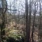 0 Ryo Mountain Loop, Fairmount, GA 30139 ID:2452273