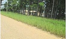 County Road #328 Bono, AR 72416