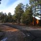 21 Blue Heron Dr., Lakeside, AZ 85929 ID:3225552