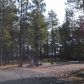 21 Blue Heron Dr., Lakeside, AZ 85929 ID:3225556