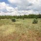 177 Lone Horseman Rd., Lakeside, AZ 85929 ID:3225837