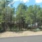 1400 Oxbow Dr 0, Lakeside, AZ 85929 ID:3225538