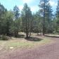 1400 Oxbow Dr 0, Lakeside, AZ 85929 ID:3225539