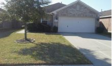 24131 Stargazer Point Spring, TX 77373