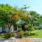 1713 Sw 10th Ct, Fort Lauderdale, FL 33312 ID:668549