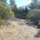 0 Cold Springs Rd, Angwin, CA 94508 ID:5558213