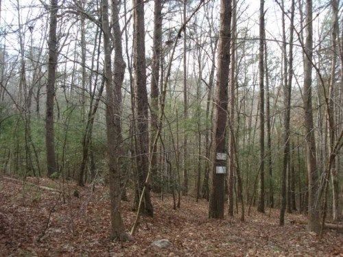 16 Choctaw Ridge N, Dahlonega, GA 30533