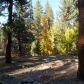 4 Glass Creek, Mammoth Lakes, CA 93546 ID:1683414