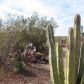 51539 W Donald Road, Aguila, AZ 85320 ID:1236655