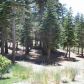 180 Le Verne St., Mammoth Lakes, CA 93546 ID:1975135