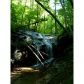 22 Monument Falls Road, Jasper, GA 30143 ID:2861338