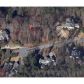 4370 Freys Farm Lane, Kennesaw, GA 30152 ID:2410075