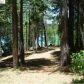 15426 Cascade Loop, Nevada City, CA 95959 ID:1146411