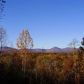 0 Ostena Road, Dahlonega, GA 30533 ID:2689055