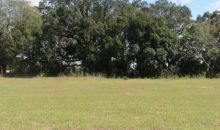 Lakes of Mount Dora Lot 374 Mount Dora, FL 32757