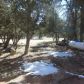 2873 Mustang Trail, Overgaard, AZ 85933 ID:11226