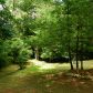 4 Riverview Court, Ellijay, GA 30540 ID:2688840