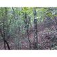 60 Elizabeth Drive, Ellijay, GA 30540 ID:2537111