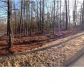 1050 Greystone Crest, Birmingham, AL 35242 ID:5928908