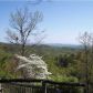 5003 Brushy Top Road, Ellijay, GA 30540 ID:2991494