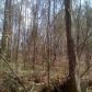 0 Crest Highway 74, Thomaston, GA 30286 ID:2956202