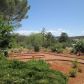 6770 W SR 89A #104, Sedona, AZ 86336 ID:414817