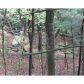 56 Red Hen Road, Dahlonega, GA 30533 ID:4525036