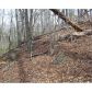 53 Shepherds Cove, Dahlonega, GA 30533 ID:3295403