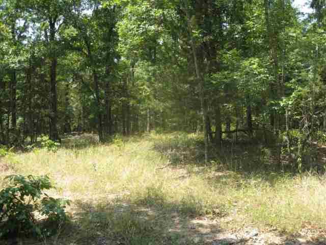 Lot 36 Cr 1434, Mountain Home, AR 72653