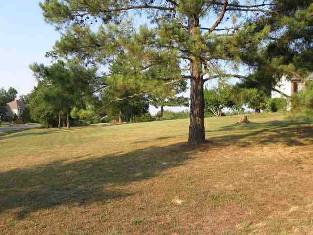 Lot 126 Wedge Drive, Mountain Home, AR 72653