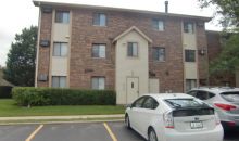 11 Echo Ct # 11 Vernon Hills, IL 60061