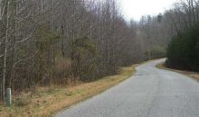 4 Gold View Drive Dahlonega, GA 30533