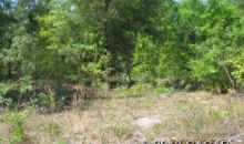 LOT 1 NE 48th Court High Springs, FL 32643