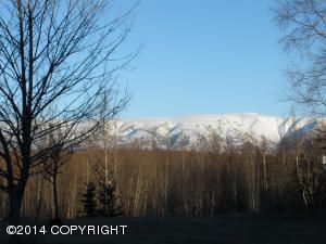 1101 Snowflake Circle, Wasilla, AK 99654