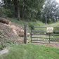 0 Greystone Road, Talking Rock, GA 30175 ID:2235369