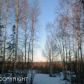 11375 W Wasey Way, Big Lake, AK 99652 ID:5643954