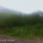 L9 B4 Mountain Valley Estates, Eagle River, AK 99577 ID:1516759