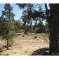 44252 Manzanita Lane, Sugarloaf, CA 92386 ID:2025241