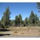 44252 Manzanita Lane, Sugarloaf, CA 92386 ID:2025243