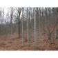 0 Chestnut Cove Trail, Jasper, GA 30143 ID:3134406