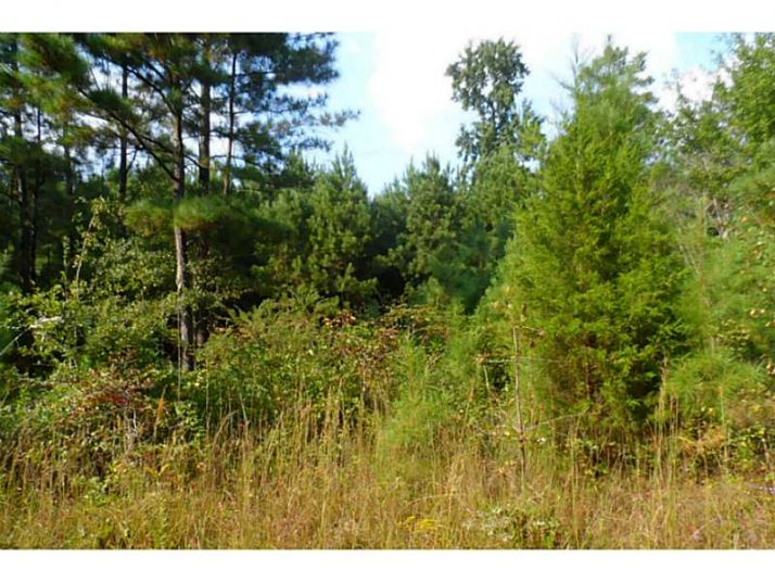 3 Pine Mountain Road, Rockmart, GA 30153